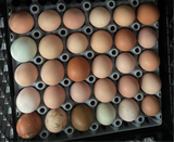 One Dozen Eggs